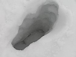 Resize of P3255333.JPG